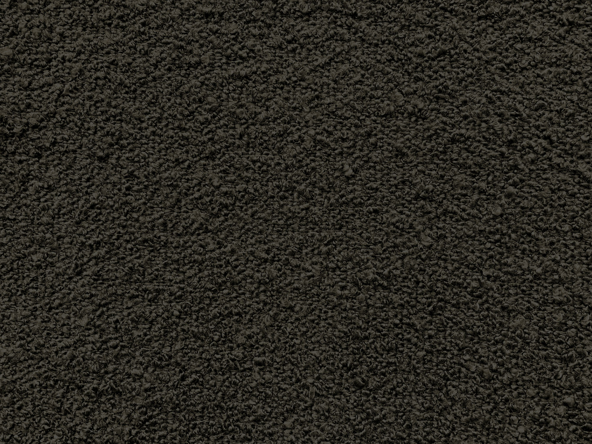 Roma E164 coffee bean